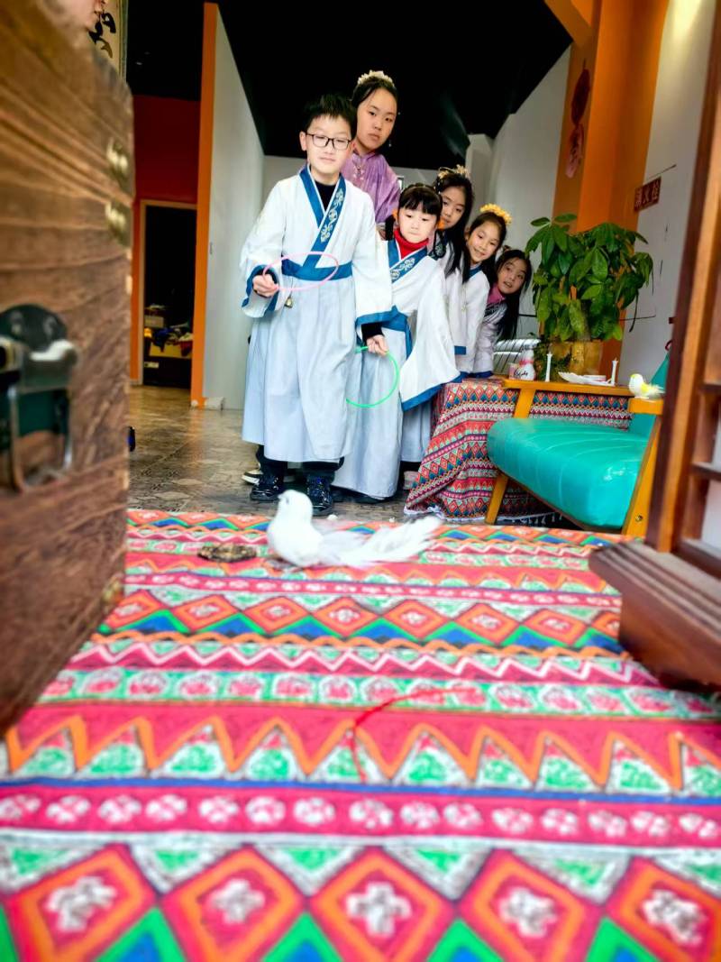 中山区文旅项目策划
